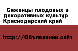 Саженцы плодовых и декоративных культур - Краснодарский край  »    